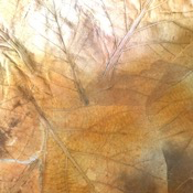 Teak leaves mulberry paper - Cognac color, 55x80 cm