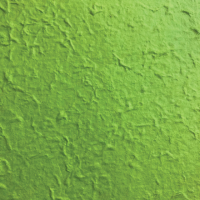 Plain Mulberry paper, Light green color 55x80 cm.