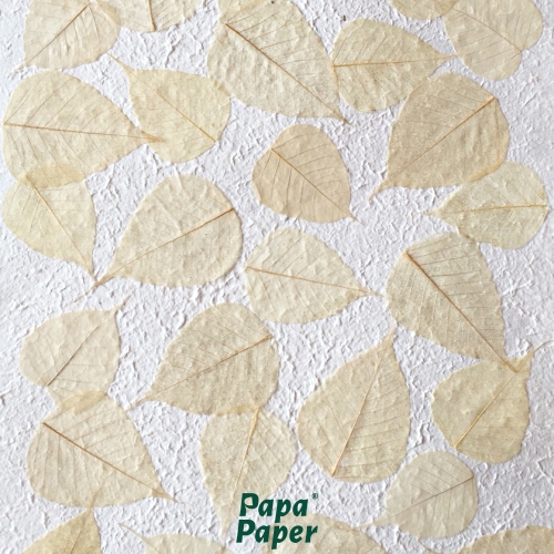 Mulberry paper bodhi leaves - Natural color 55x80cm