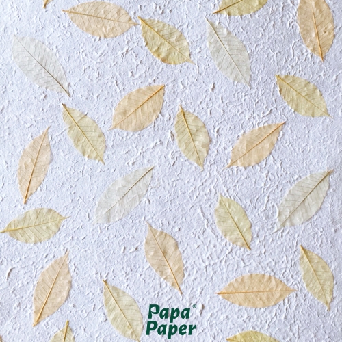 Mulberry paper rubber leaves - Natural colors 55x80cm