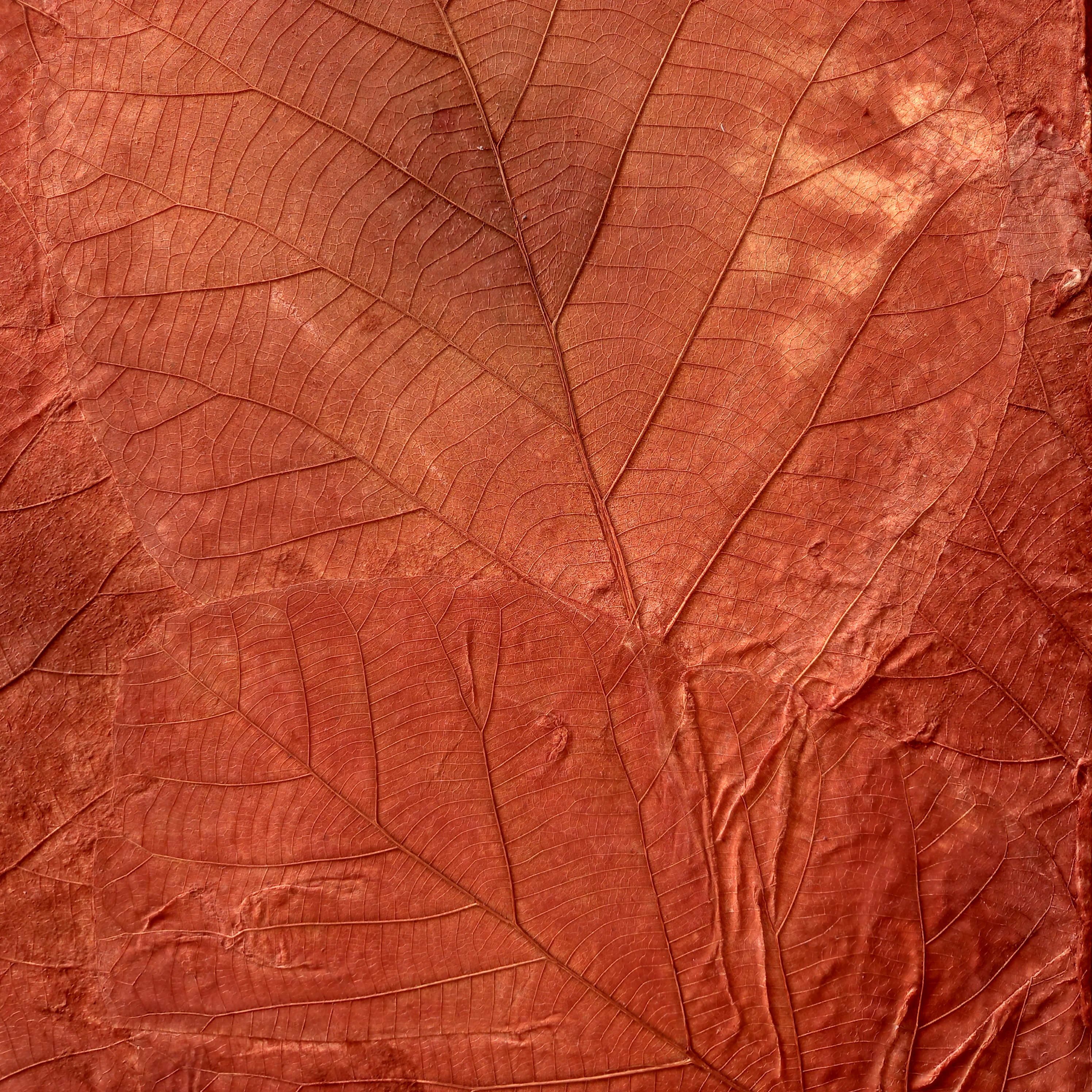 Teakleaves paper, Copper - กระดาษใบสักสีสนิม