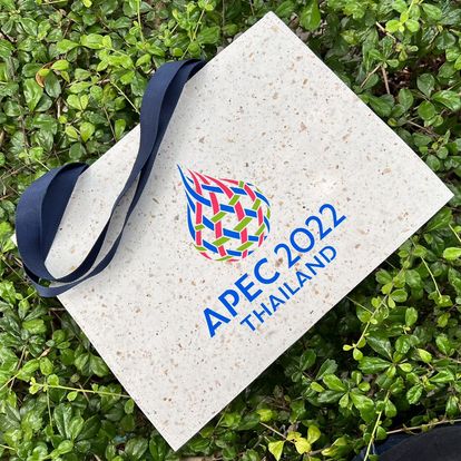 Bag mulberry with coffee chaff for APEC2022